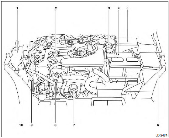 Engine compartment check locations