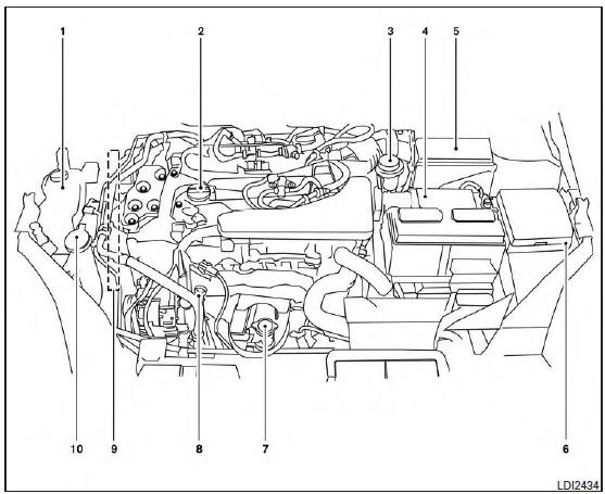 Engine compartment check locations