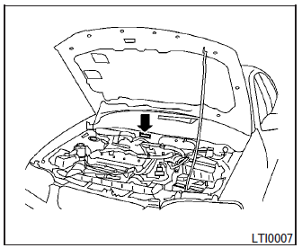 Vehicle identification number (chassis number)