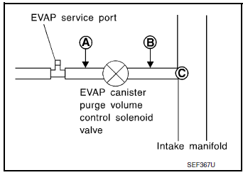 Check EVAP purge hose and purge port