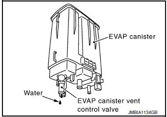 Check if evap canister is saturated with water