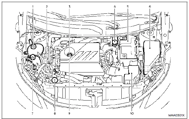 Nissan Rogue. Engine compartment check locations